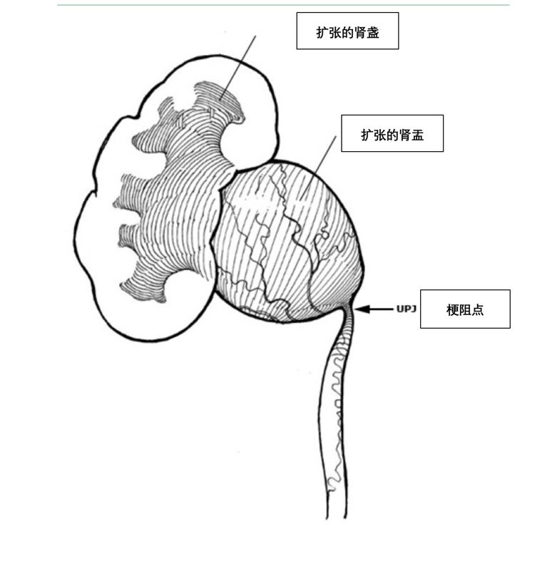 暂无