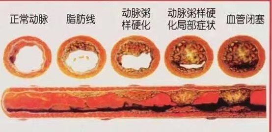 暂无