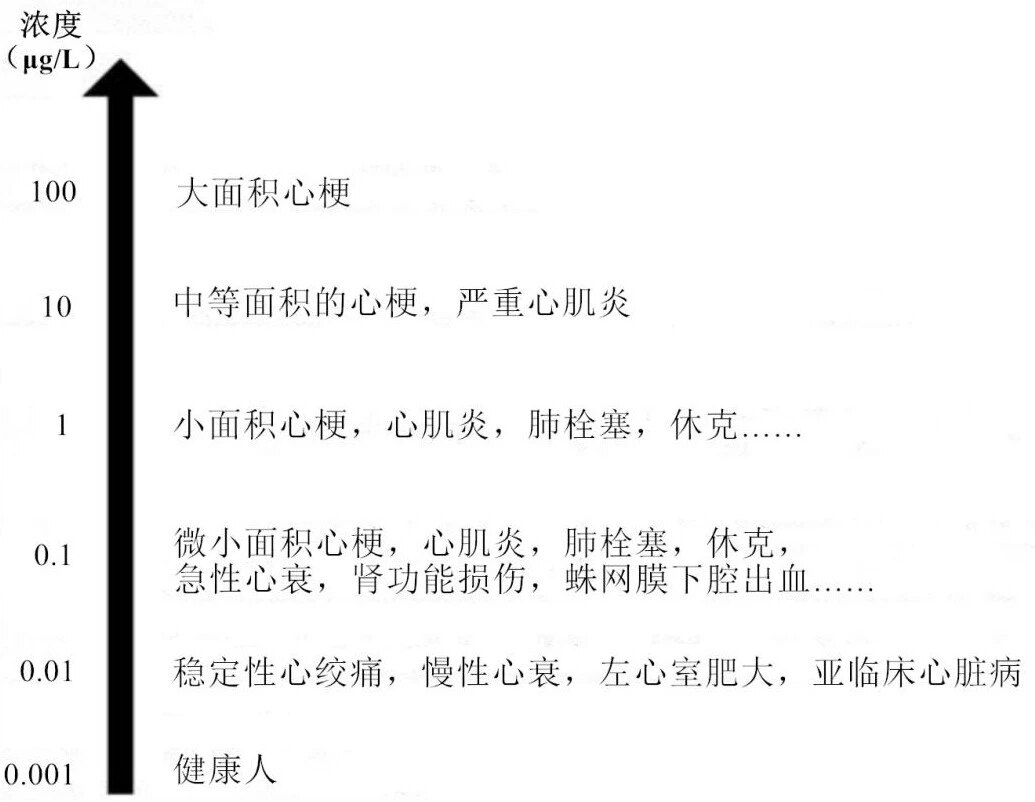 暂无