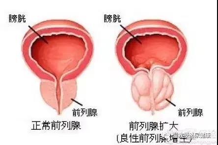 微信图片_20210328205930.jpg