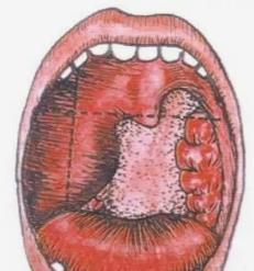 1598105173617853.jpg 360截图20200822211859254.jpg