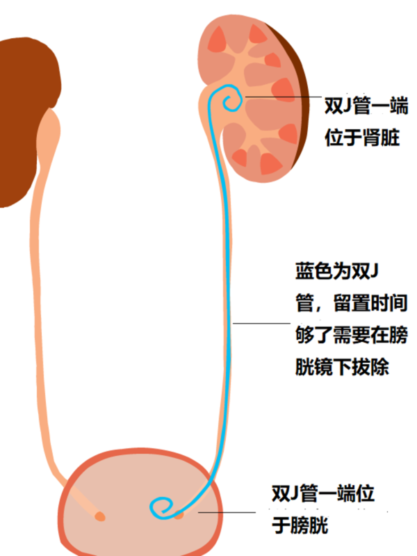 图文图片