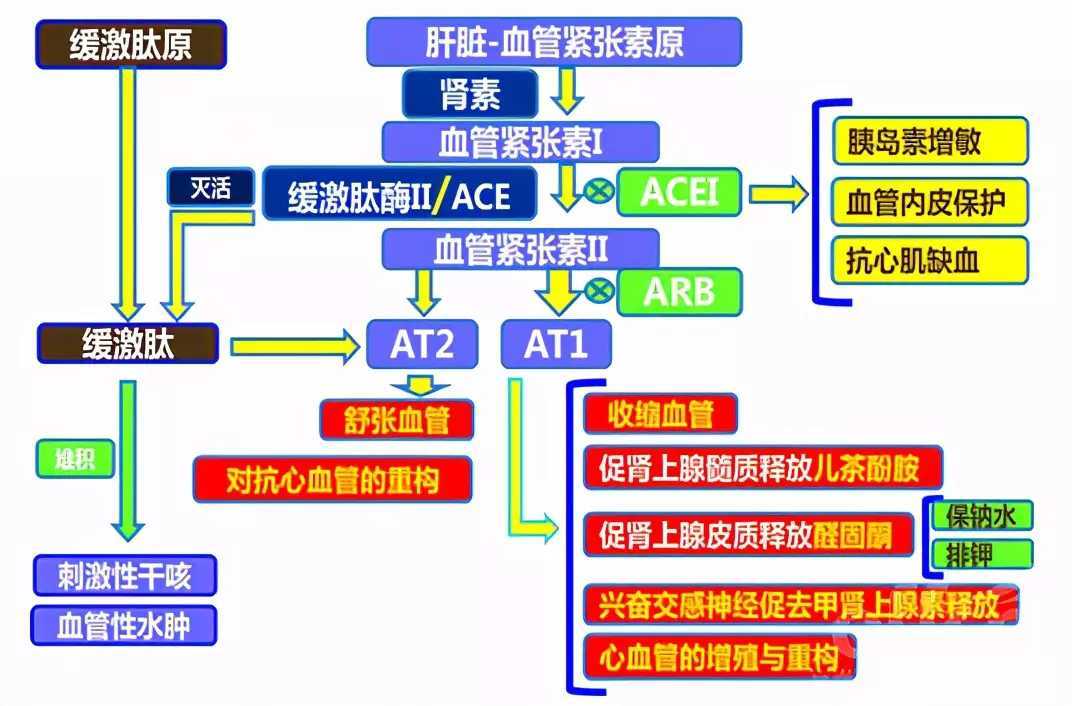 高血压患者服用降压药的误区