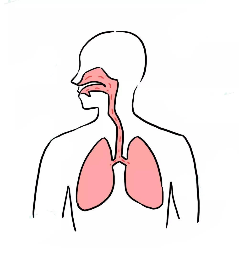 支气管哮喘简笔画图片