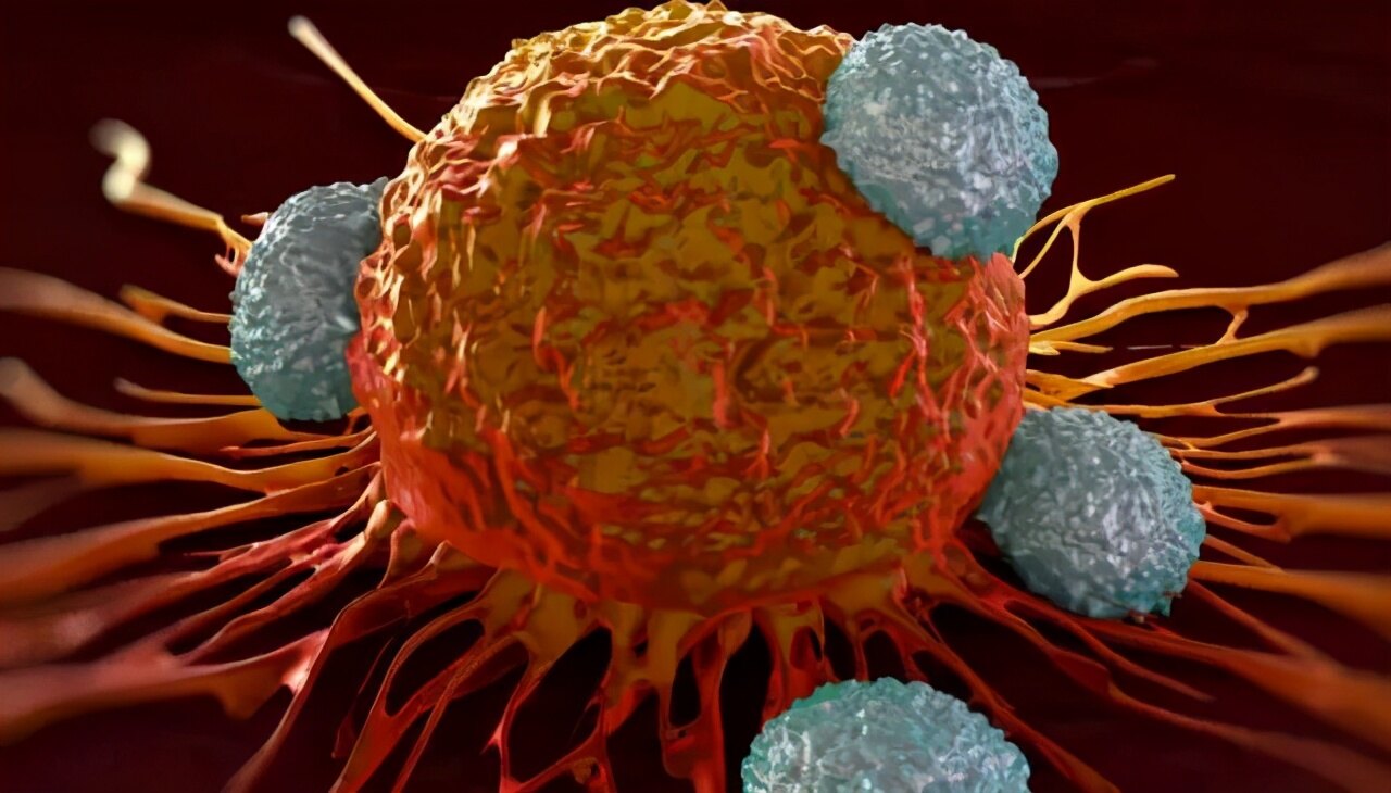 新冠病毒吞噬肿瘤?