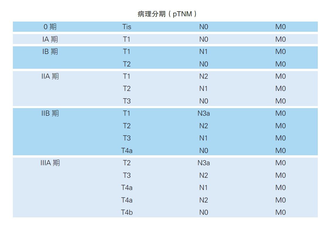 一文带你了解胃癌的分期 - 好大夫在线