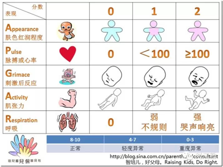 apgar评分标准表-千图网