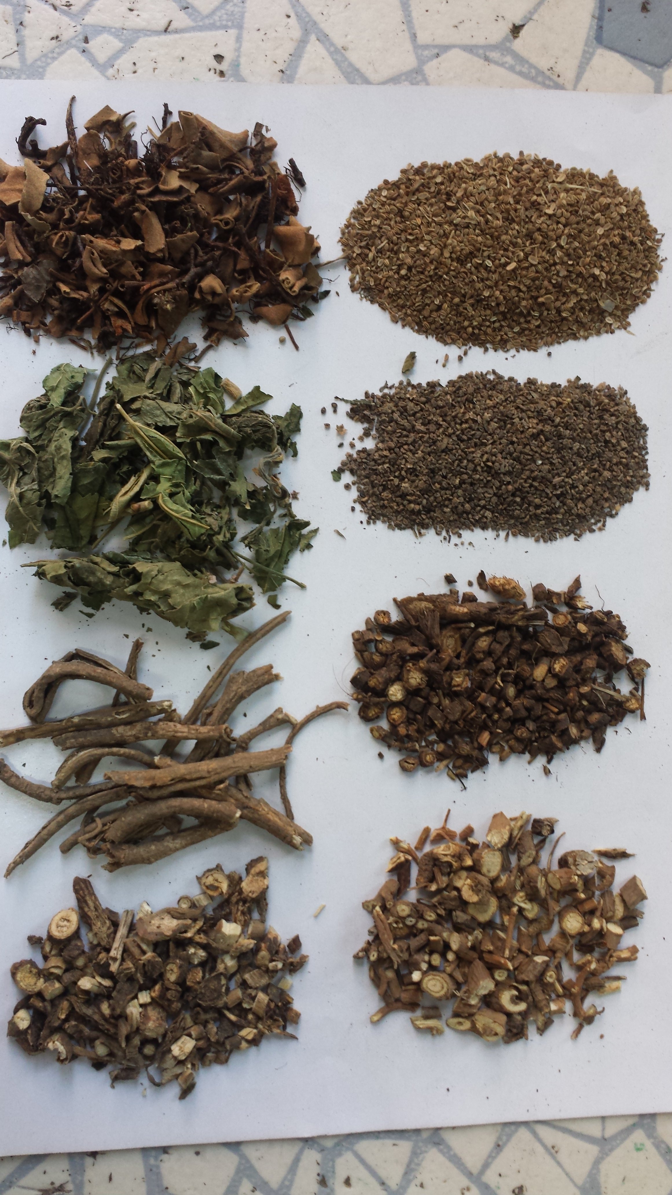 中药辨识练习(41) - 好大夫在线