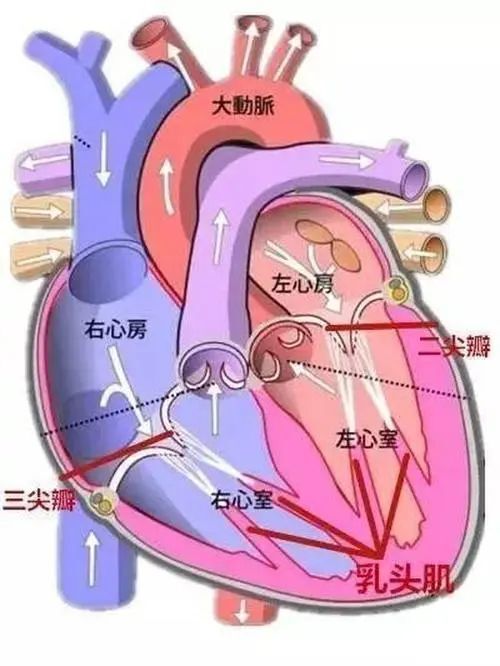 圖文圖片