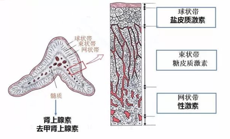 圖文圖片