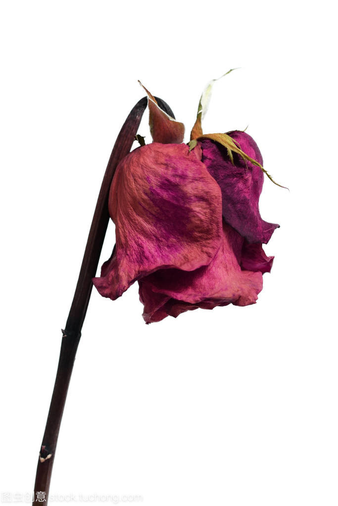 大阴唇干瘪正常吗,该如何改善呢?_外阴整形 - 好大夫在线