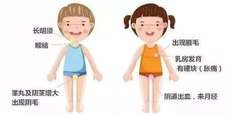 体格发育方面过早的发育,孩子的骨骺线会提前闭合,生长空间要比正常