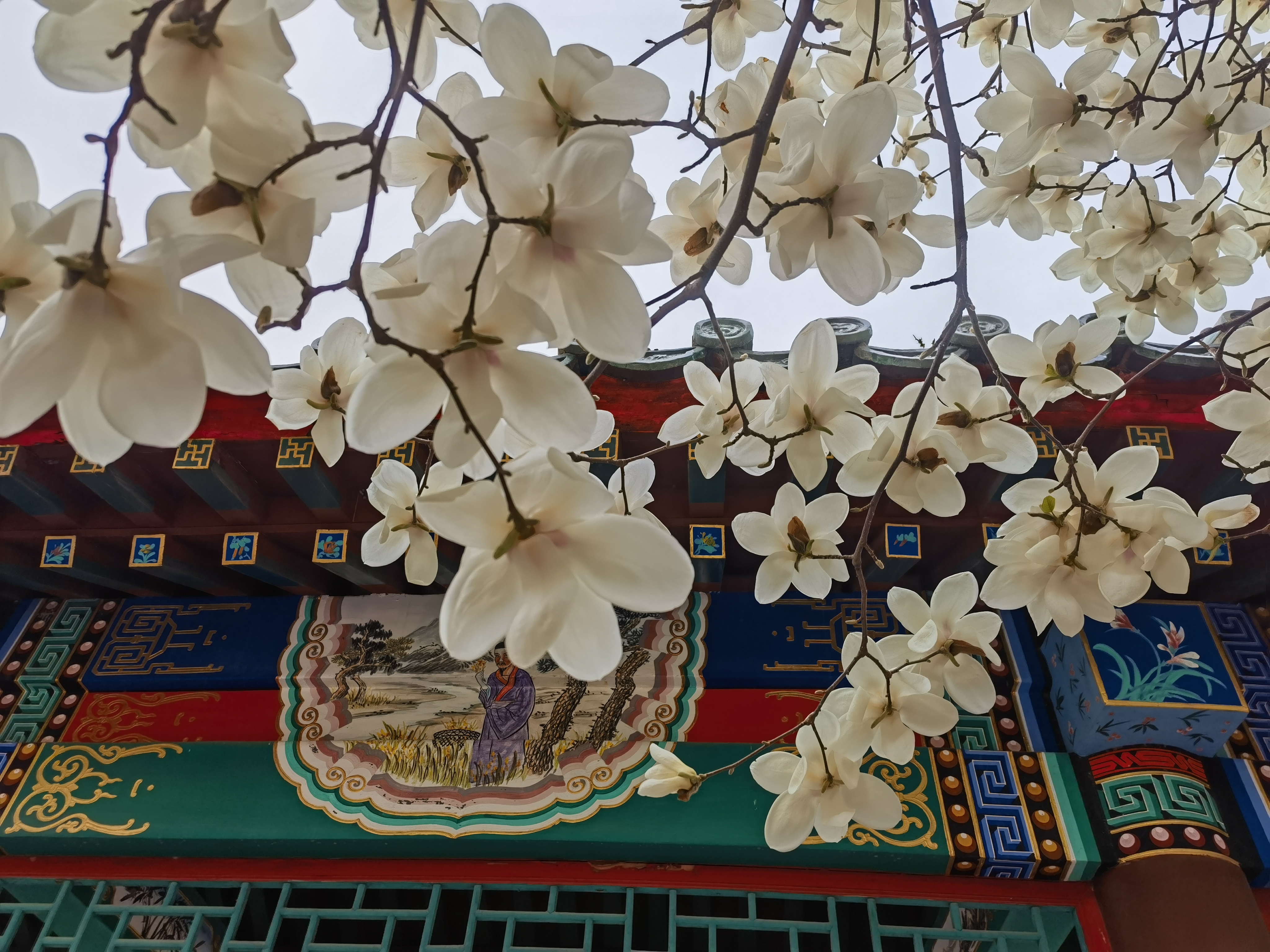 圖文圖片