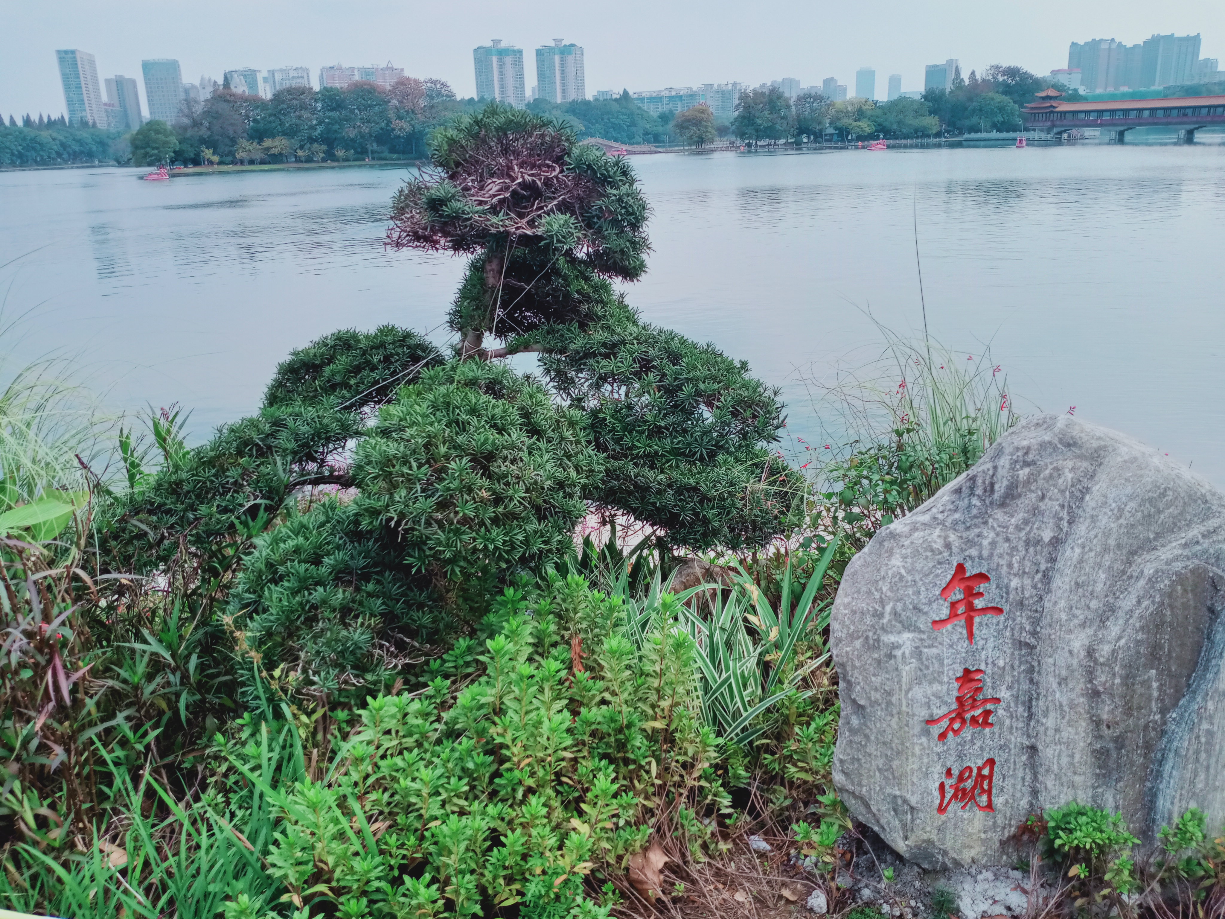 图文图片