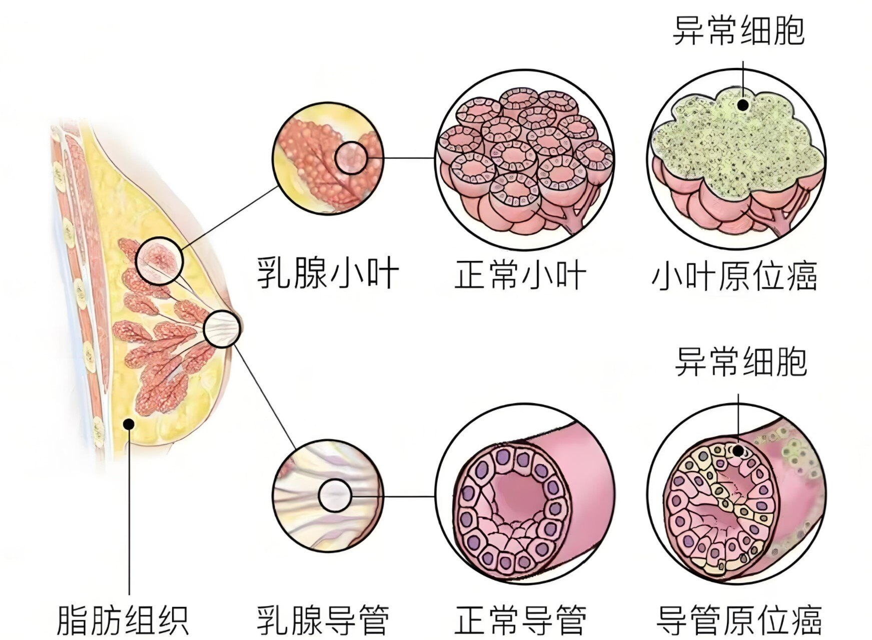 圖文圖片