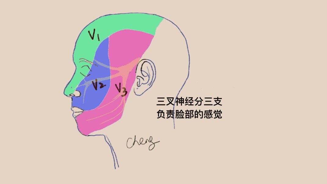 圖文圖片