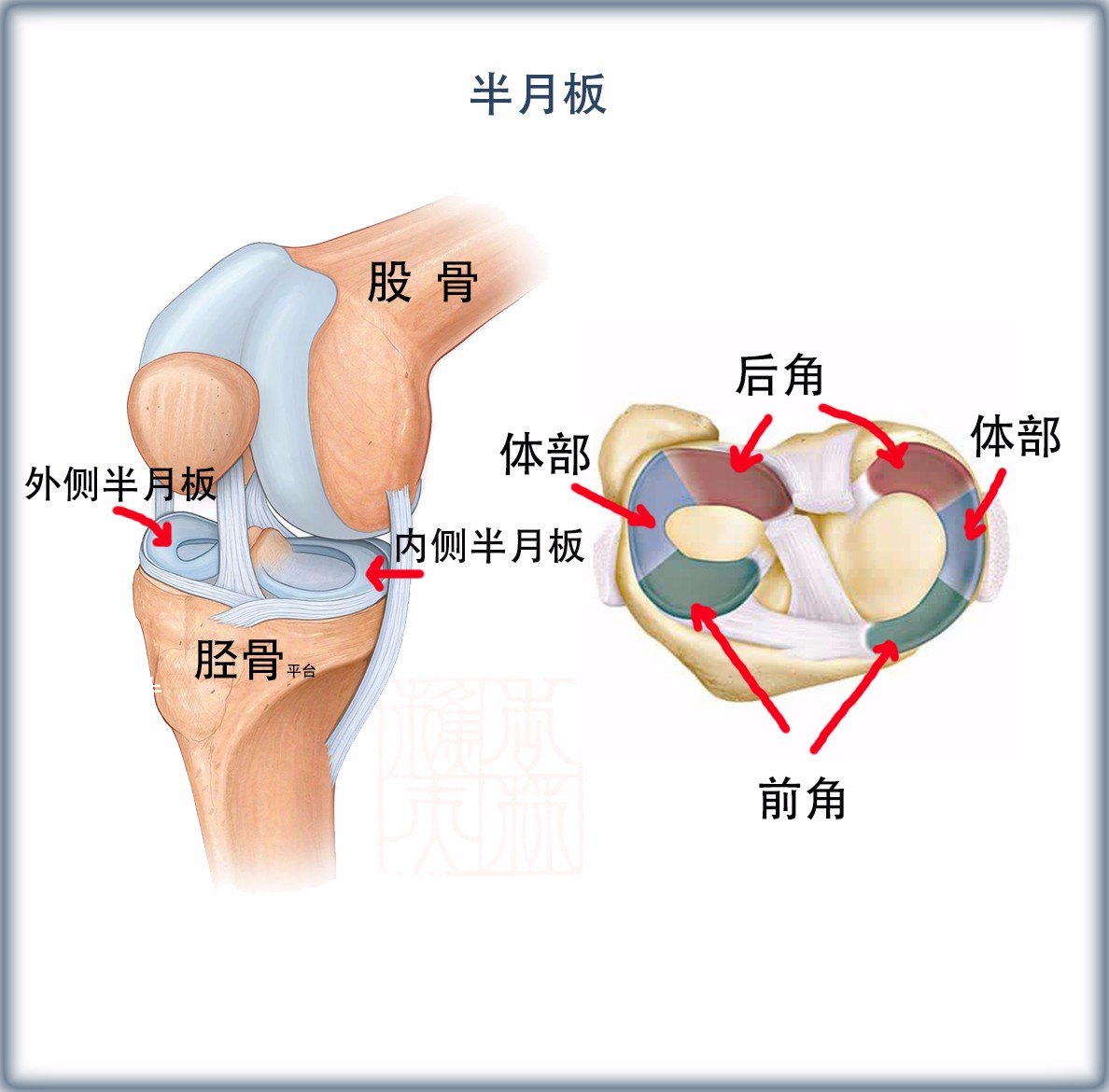 半月板损伤的最好治疗方法 哪种修复治疗方法好 效果如何 含录像 膝关节半月板损伤 好大夫在线 半月板损伤的最好治疗方法 哪种修复治疗方法好 效果如何 含录像 膝关节半月板损伤 好大夫在线