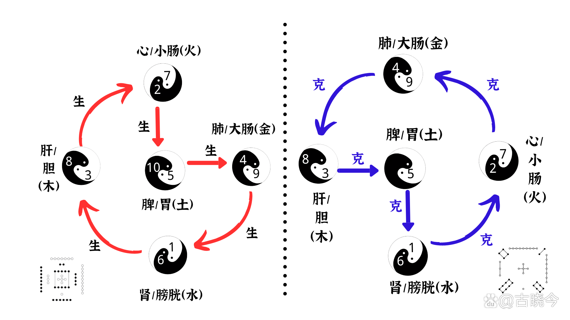 气脉运行图图片