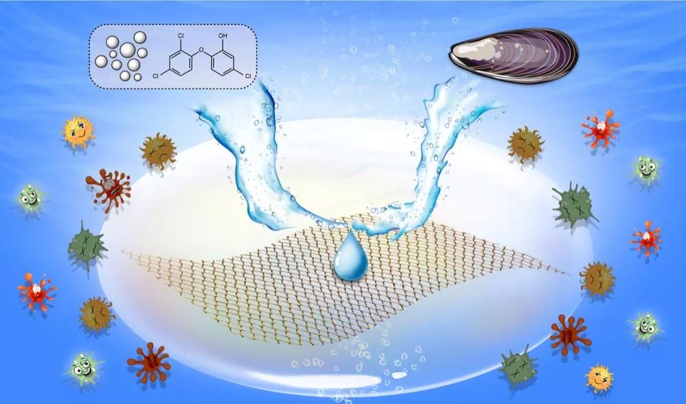 除了抗菌需求外,大部分慢性创面还需要外源性生物活性物质来加速愈合.