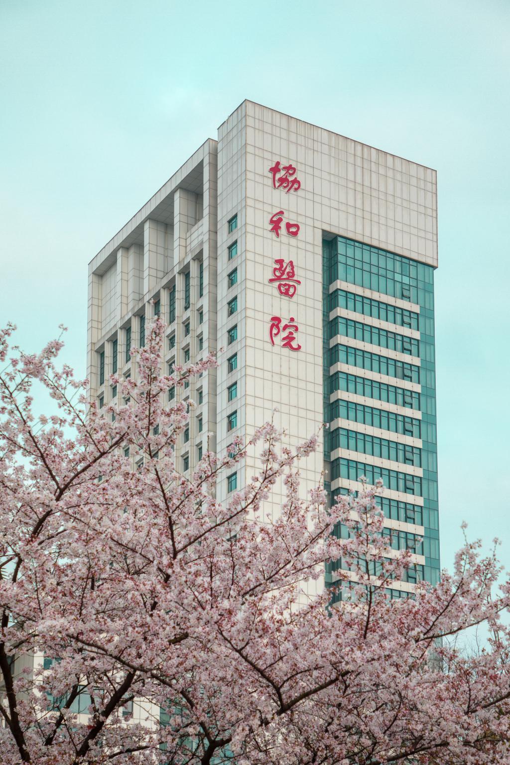 圖文圖片