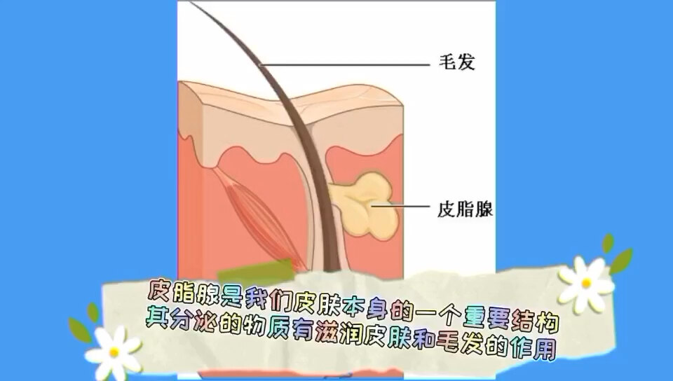 默认图片