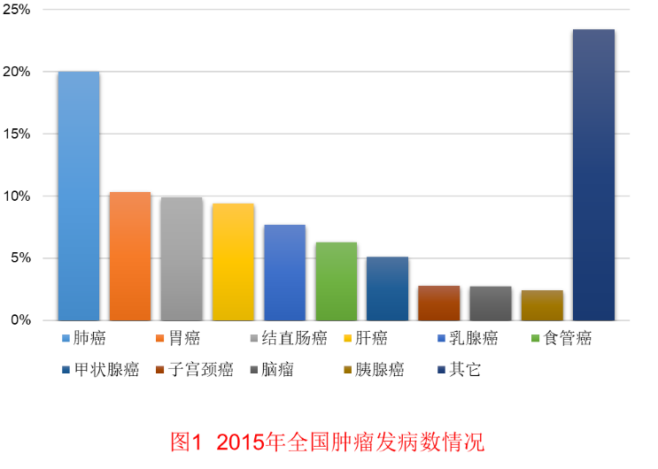 大肠癌科普7 什么是大肠癌 结肠癌 结肠癌 大肠癌科普7 什么是大肠癌 结肠癌 结肠癌
