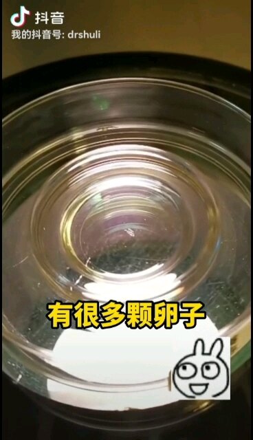 默认图片