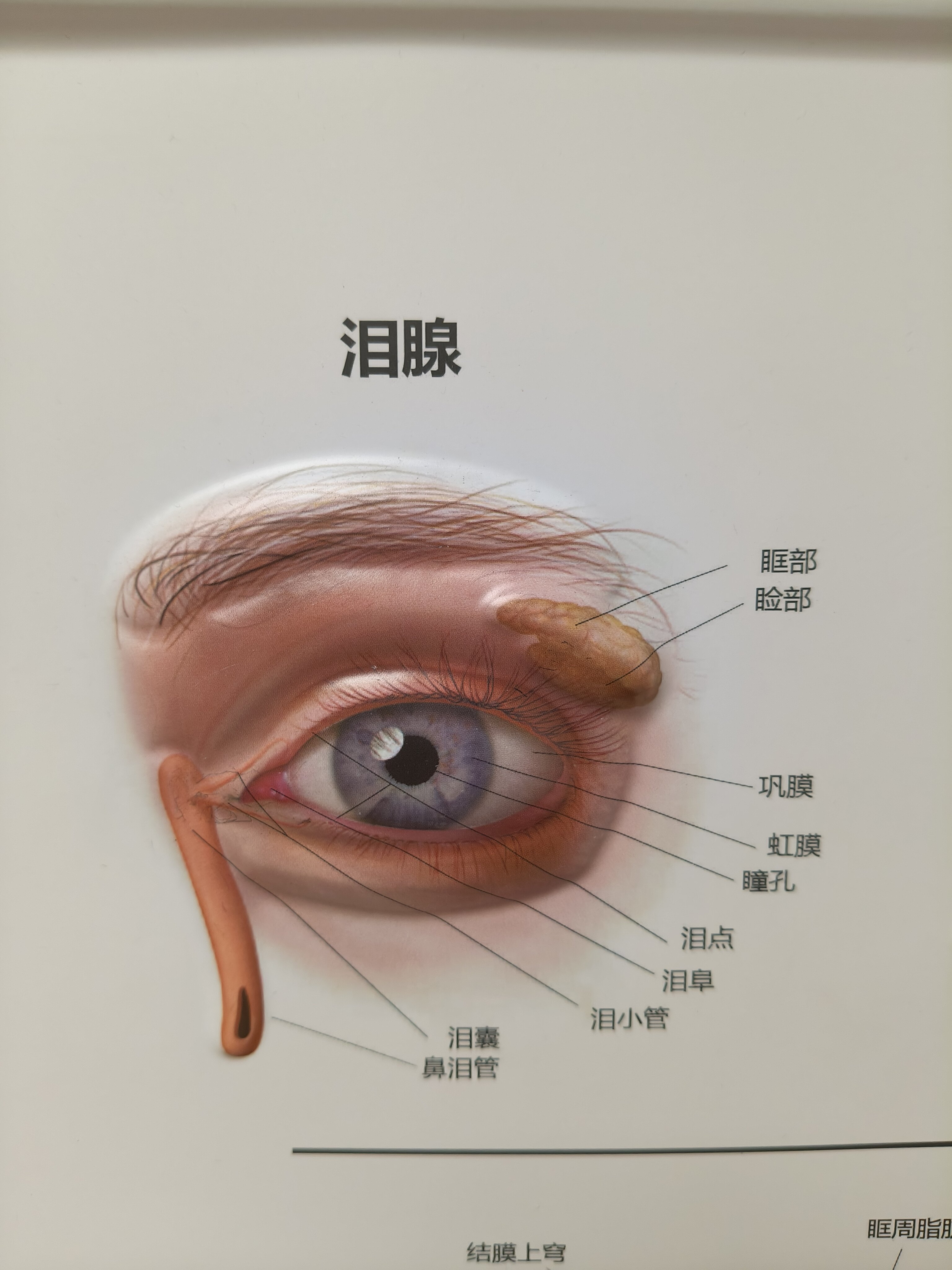新生儿泪囊炎的治疗办法及典型病例分享