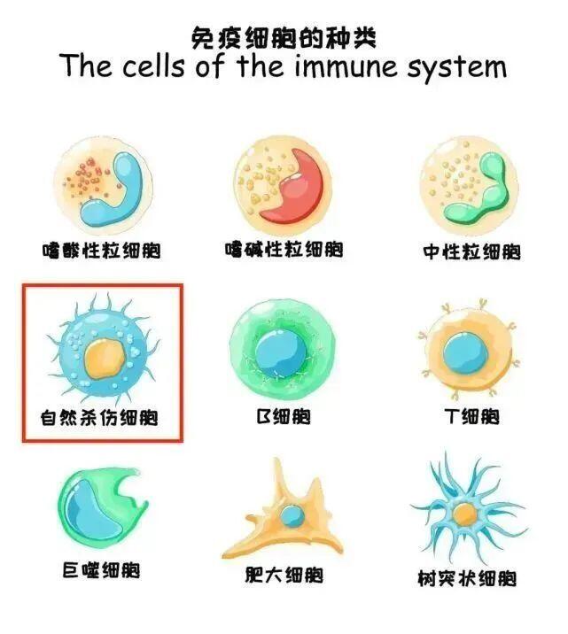 微信图片_20240917122025.jpg