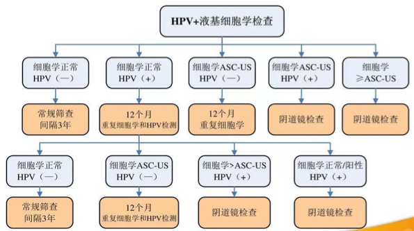 常因做健康體檢宮頸癌篩查,如tct(液基細胞學檢查),發現細胞學異常