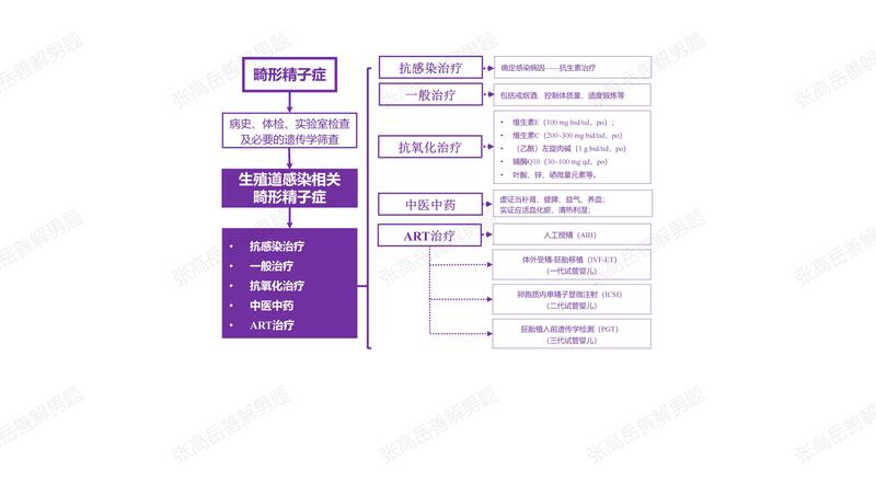 男性不育：畸形精子症-生殖道感染相关.jpg