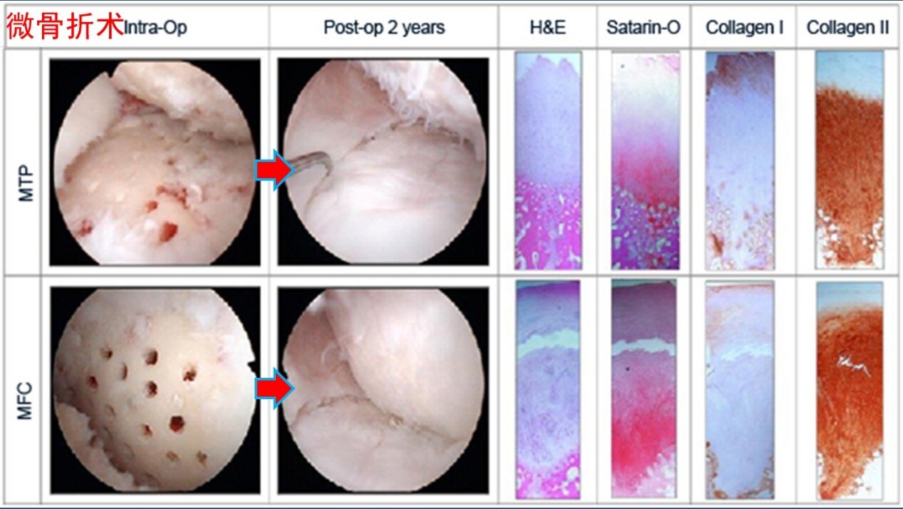 1680448327838300.jpg 1680448327838300.jpg