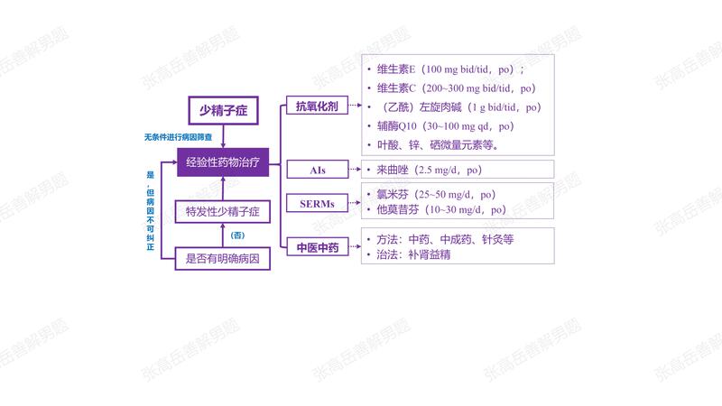 男性不育：少精子症（经验性药物治疗）.jpg