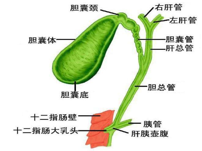 圖文圖片