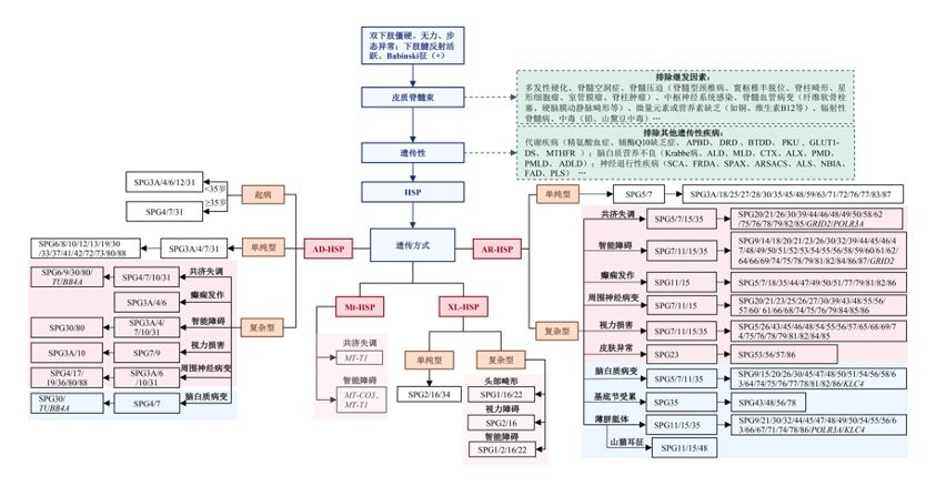 图 1.jpg