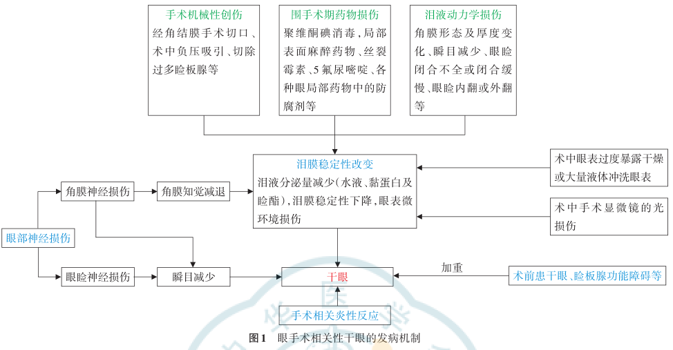 圖文圖片