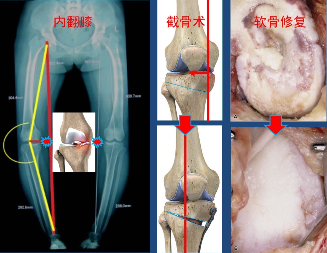 1680448453590628.jpg 1680448453590628.jpg