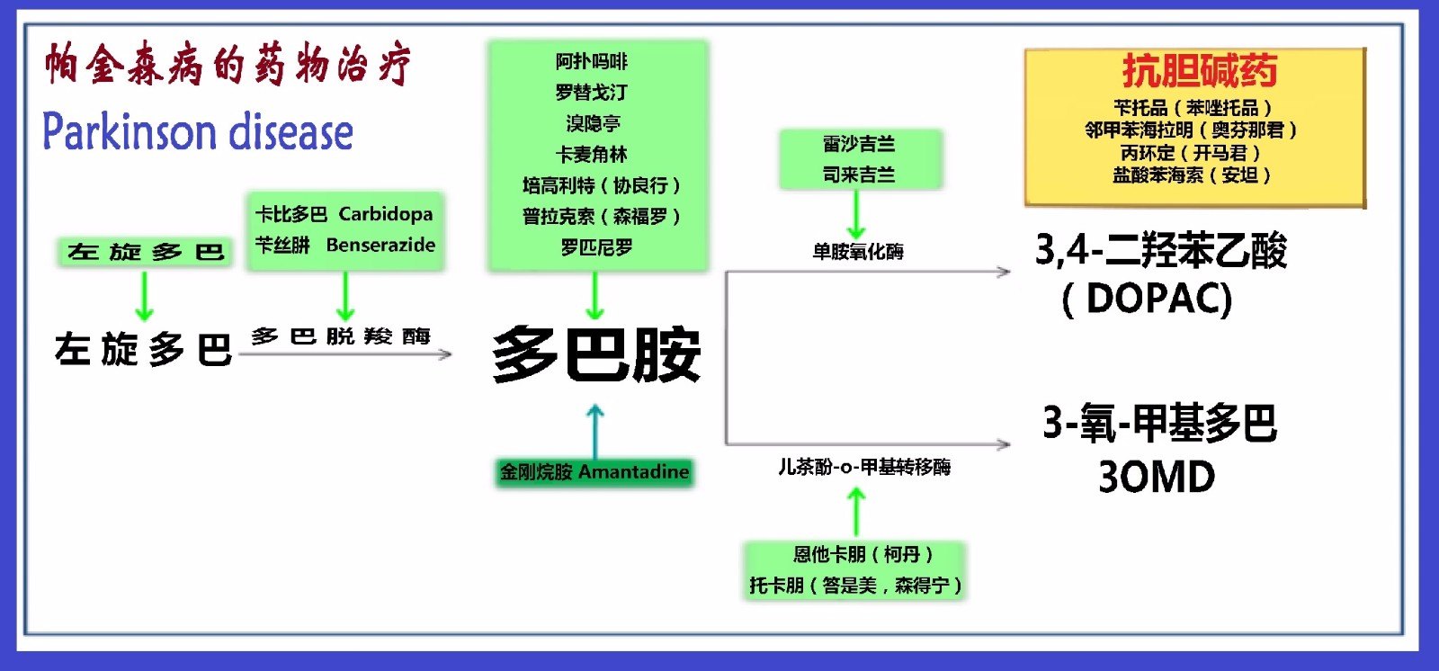 帕金森病2017版