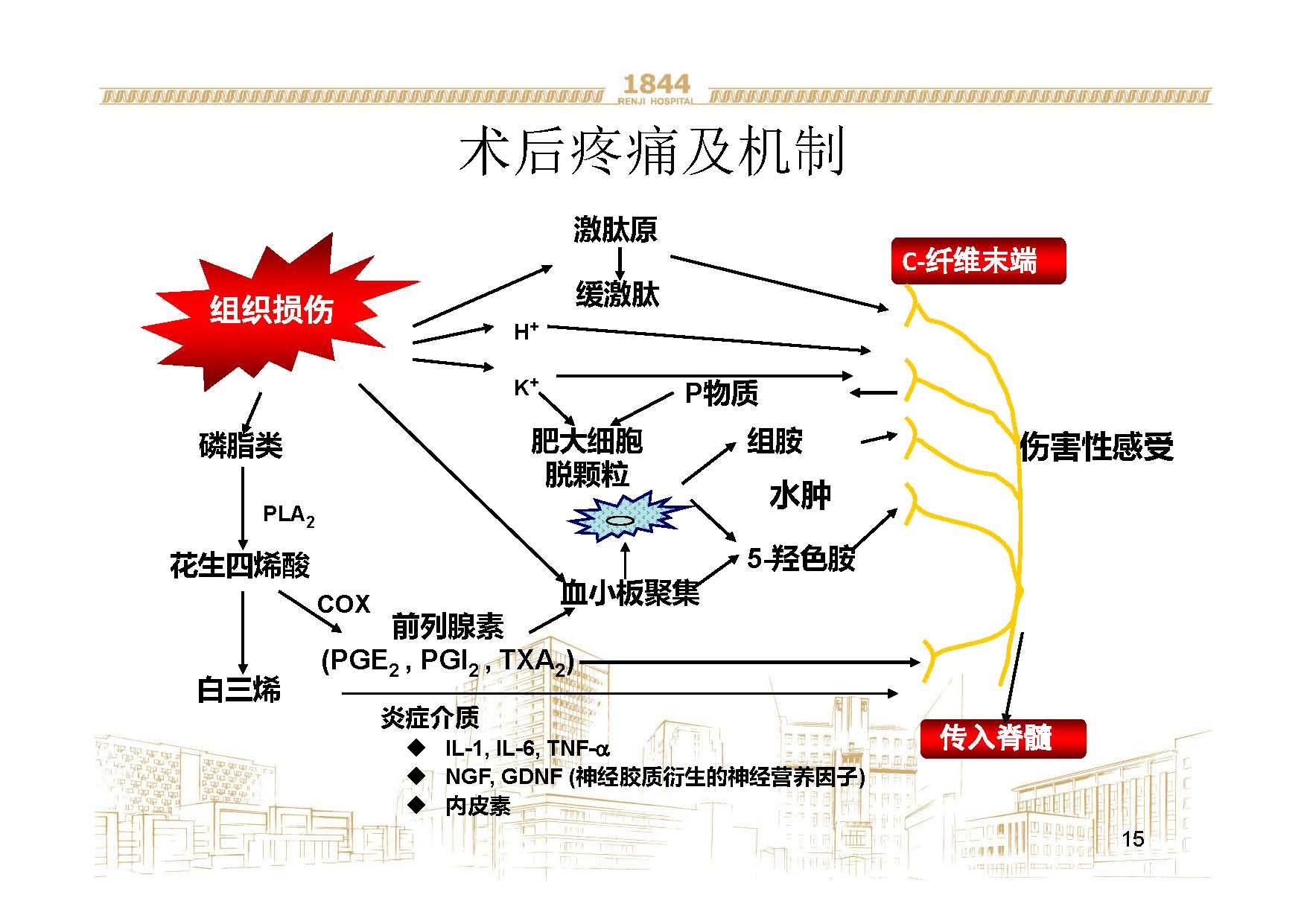 疼痛管理模式与病人术后转归 - 好大夫在线