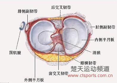 暂无
