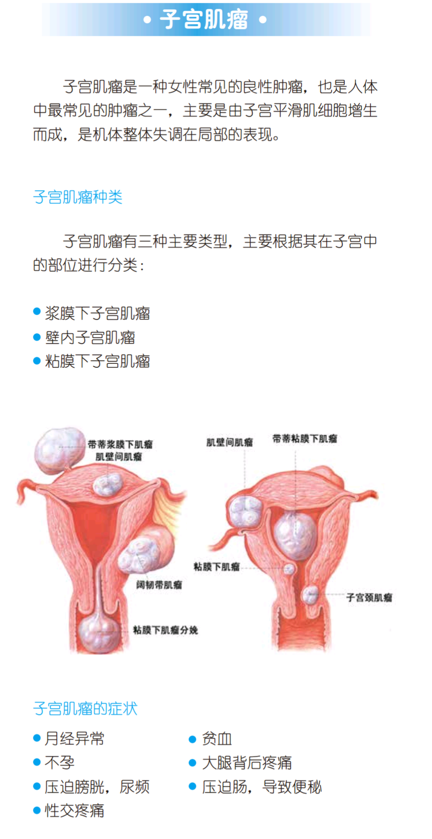 暂无