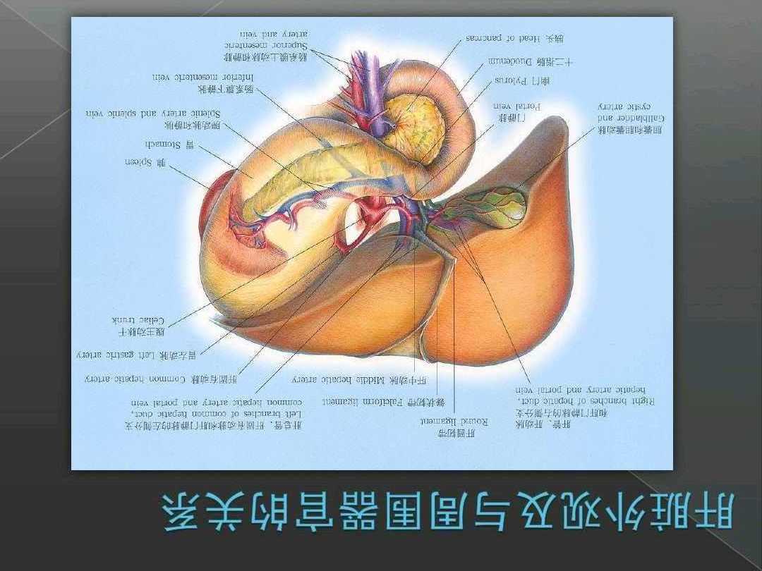 uoYBAF5T2niAA1ZZAAErUdyfkAI974.jpg