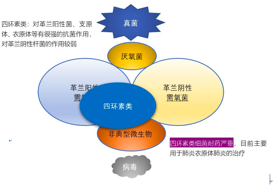 厌氧菌抗生素图片