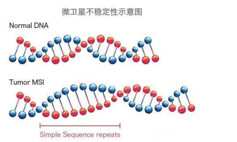 结直肠肿瘤术后基因检测的意义