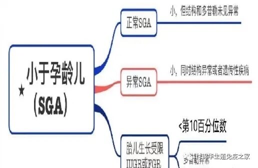 胎儿生长受限如何补救?