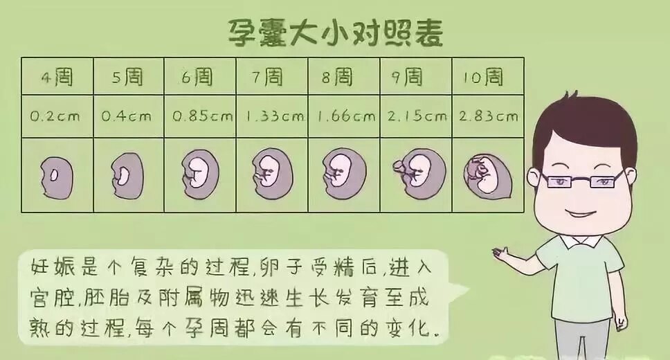 胎儿生长曲线图计算器图片