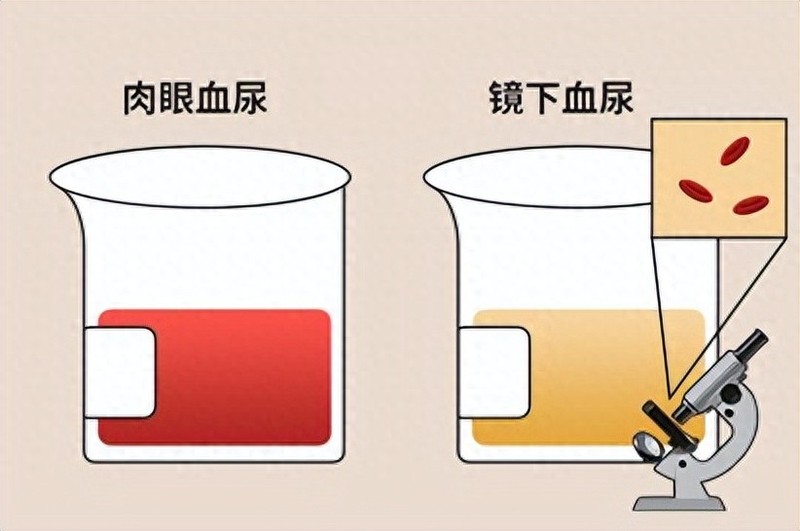 图文图片