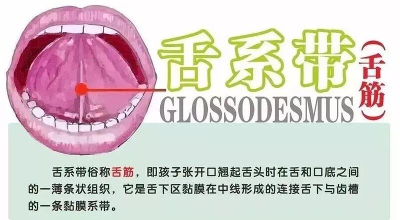 圖文圖片