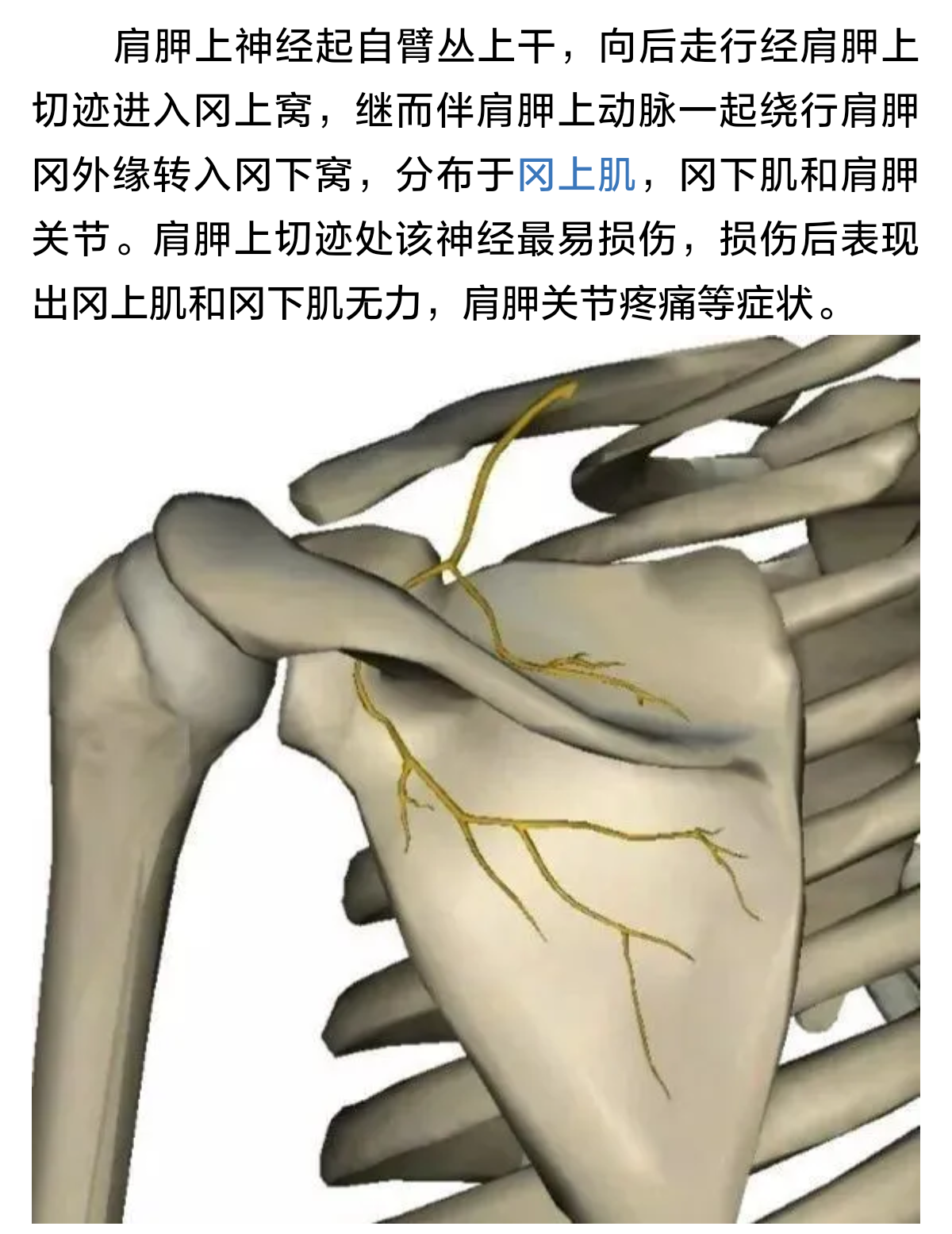 冈盂切迹图片