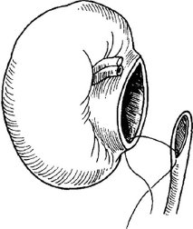 1609165803553483.png